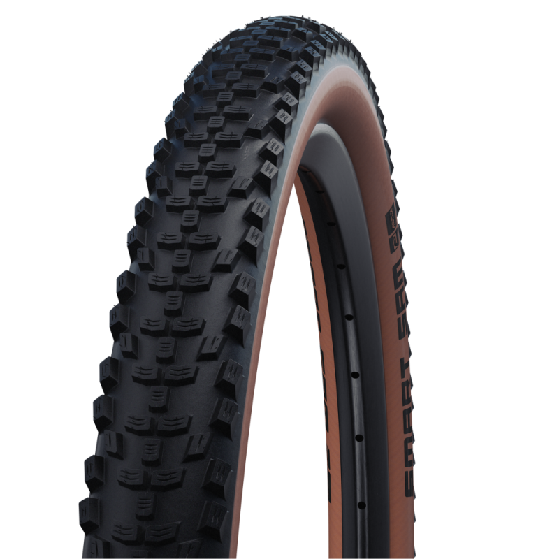 Schwalbe Neumáticos Smart Sam Perf. DD RaceGuard, 65-622 29x2.60
