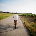 mhw magazin fahrradfahren mit hund 150x150 - Cuerda de remolque para bicicletas: alivio para niños y adultos